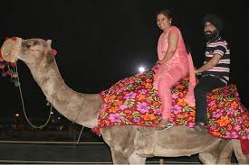 Camel ride game activity rent in Jorhat